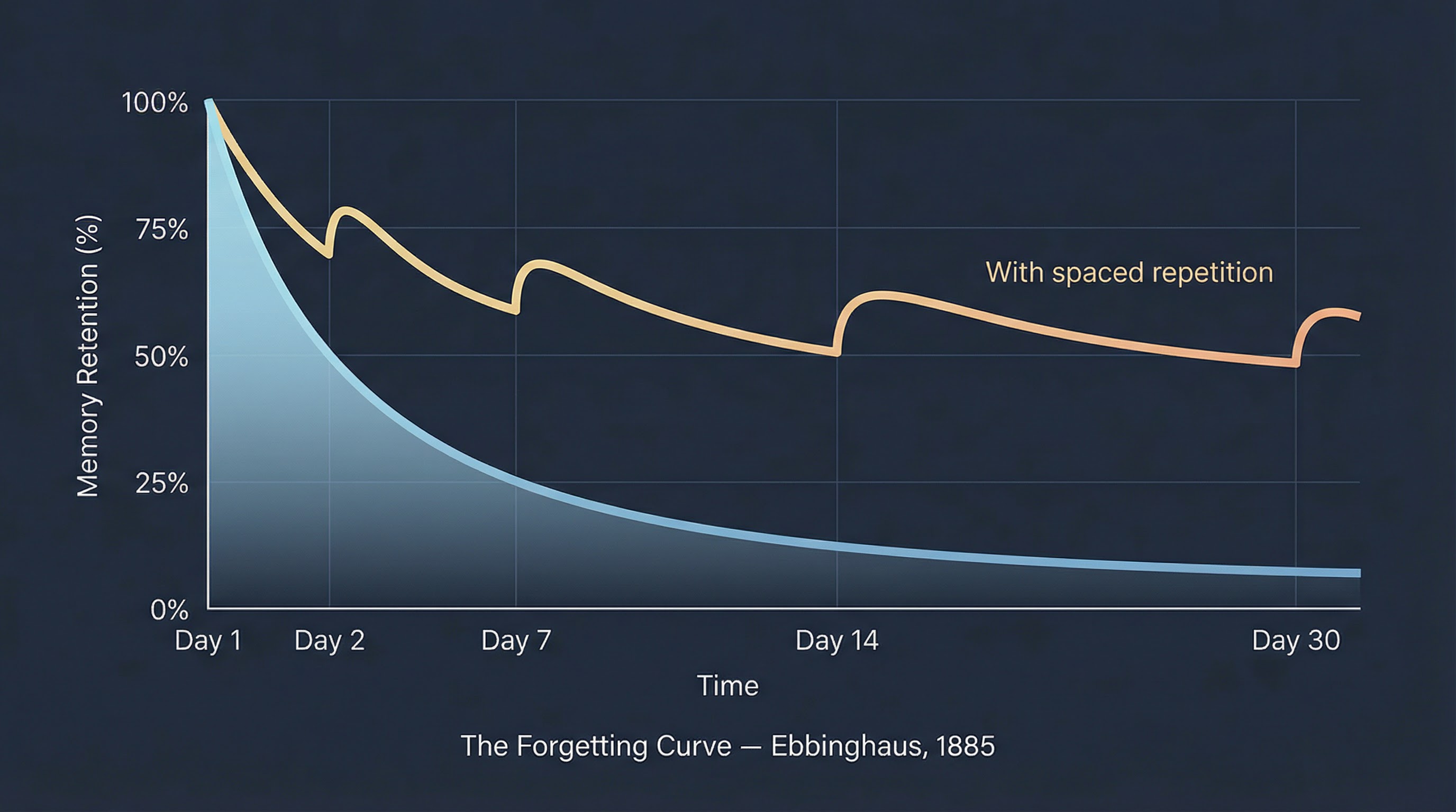 The Forgetting Curve by Ebbinghaus showing memory retention over time with and without spaced repetition